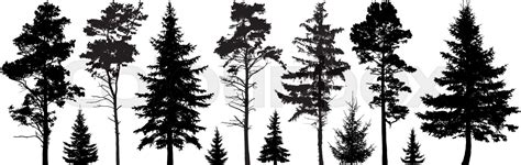 Forest Evergreen Trees Silhouette Isolated Set Stock Vector Colourbox