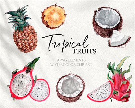 Watercolor Tropical Fruit Clipart Summer Fresh Pineapple Etsy