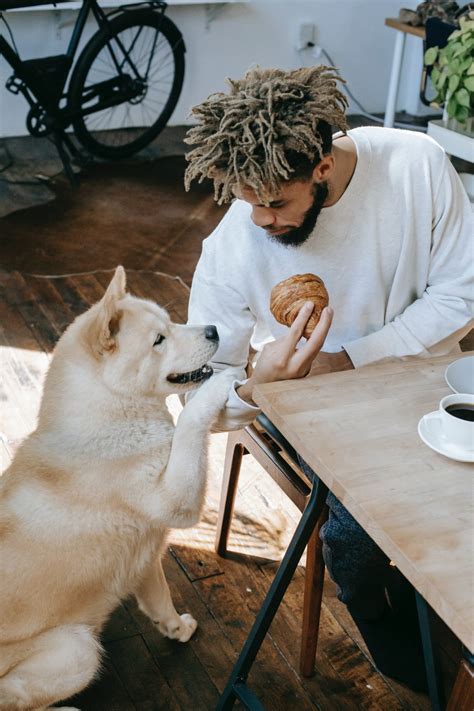 Cuánto chocolate puede matar a un perro Dogo