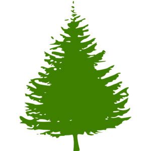 Fir Tree Clip Art Clipart Best