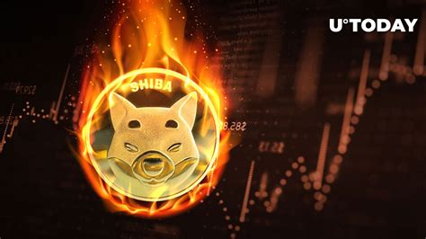 Shib Burn Rate Soars 153% as Price Shows Modest Gains