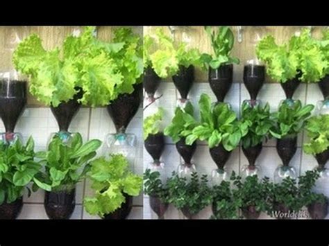 Plastic Bottle Vertical Garden Ideas - Pondic