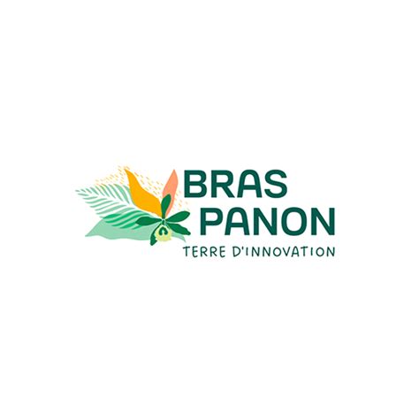 Bras Panon Application Mobile Google Play