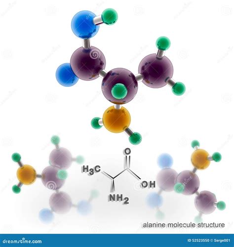 Estructura De La Mol Cula De La Alanina Stock De Ilustraci N