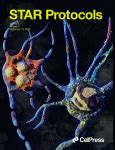 Cell Press: STAR Protocols 