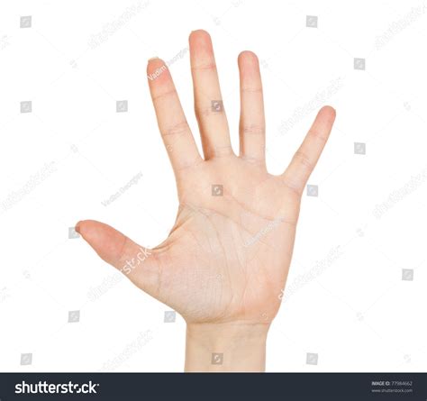 Woman Hand Palm Isolated On White Stock Photo 77984662 Shutterstock