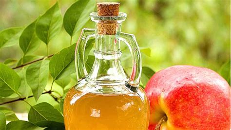 6 Uses Of Apple Cider Vinegar For Yeast Infection 6 Home Remedies For Candida