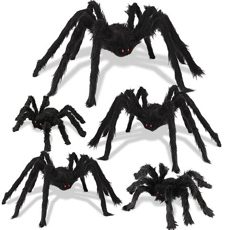 Big Scary Looking Spiders