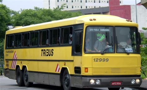 Tudo de Ônibus Tribus II Itapemirim