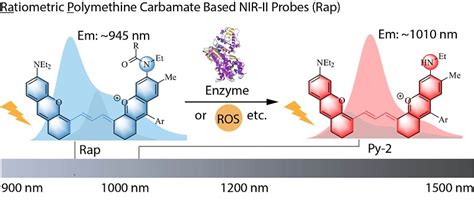 Jacs 第二近红外窗口聚甲炔平台分子用于构建比率型分子荧光探针