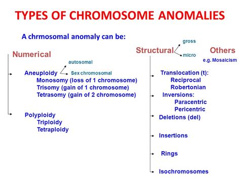 Medical Genetics Lecture Chromosome Anomalies Reem Sallam Md Phd