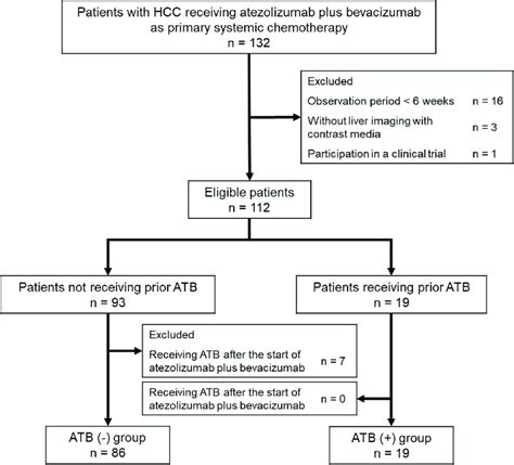 Flowchart Of Patient Selection Abbreviations Hcc Hepatocellular