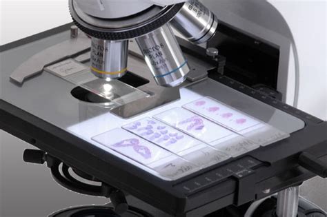 Предметный столик, предметный столик микроскопа.