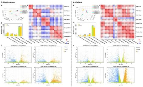 Ijms Free Full Text Dual Transcriptome Analysis Reveals That Chatg8