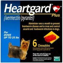 Heartworm Medicine for Dogs: Common Questions | The Dog Info Blog