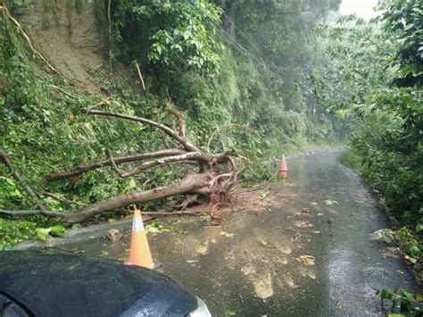 台中雨彈狂炸！清水區民宅泡水 中橫路樹倒塌擋道 生活 自由時報電子報