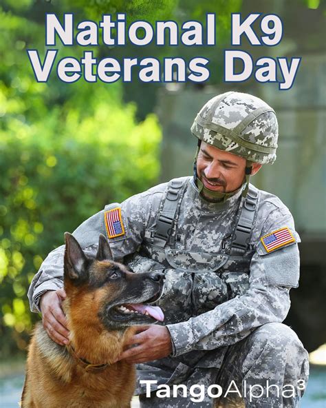 Tangoalpha3 On Linkedin Today We Honor Our Four Legged Heroes On K9 Veterans Day These Loyal