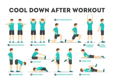 Exercise Poster Stretching Warm Up Cool Down Chart (A1 Laminated ...