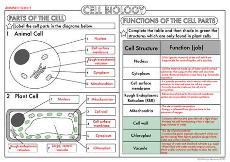 Gcse Biology Cell Biology Worksheet Pack Updated Teaching Resources