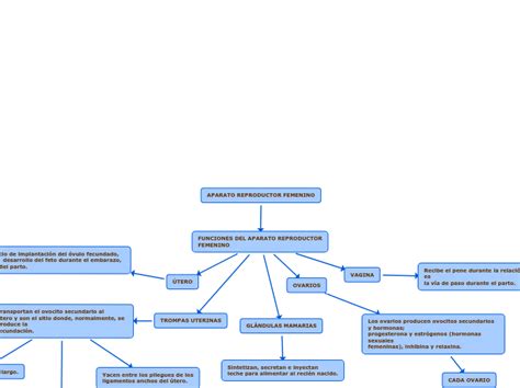 Aparato Reproductor Femenino Mind Map