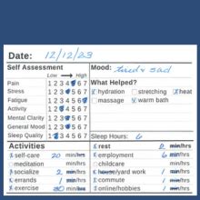 Polymyalgia Rheumatica Journal Pain And Symptom Tracker Guided Record