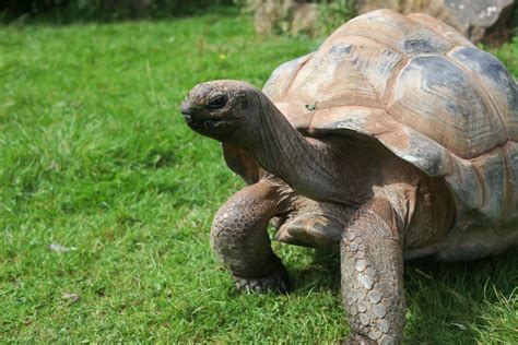 Paignton Zoo • Wild Planet Trust