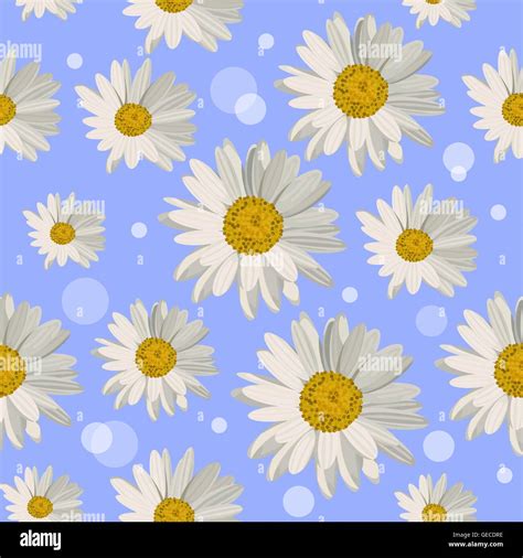 Seamless Pattern With Daisy Flowers Stock Vector Image Art Alamy