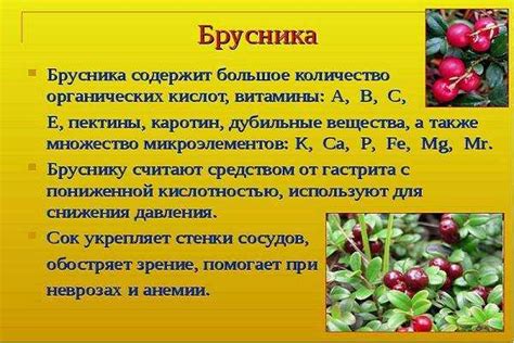 Бруснивер - реальные отзывы принимавших, возможные побочные эффекты и ...