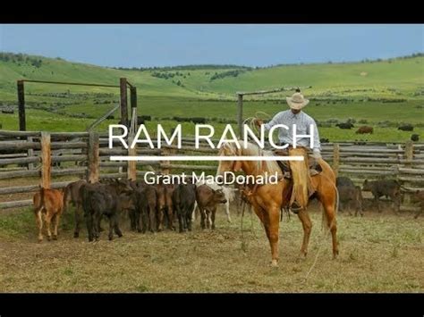 Grant MacDonald - Ram Ranch [Lyrics] Sound Clip | Peal - Create Your ...