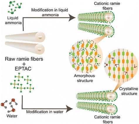 Schematic Illustration Of Change In Crystallinity Of Ramie Fibers