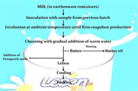 36 Microbial Fermentation Examples in Real Life – StudiousGuy