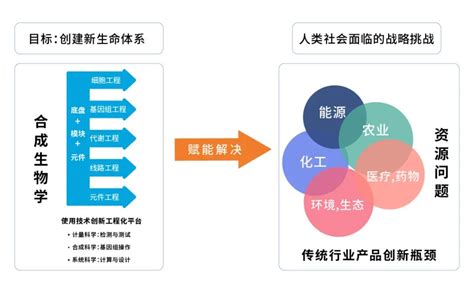 cb insights