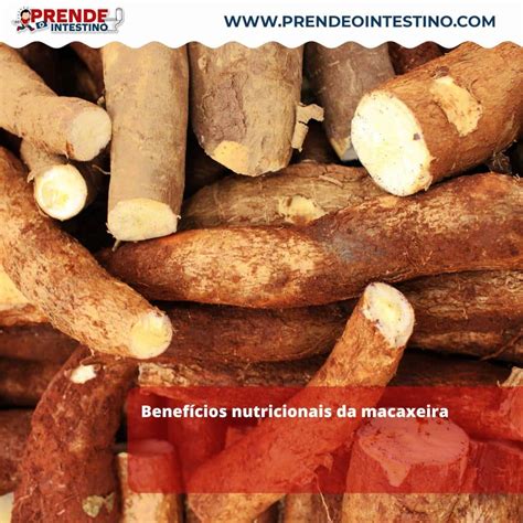 Macaxeira é Carregado Para Quem Fez Cirurgia