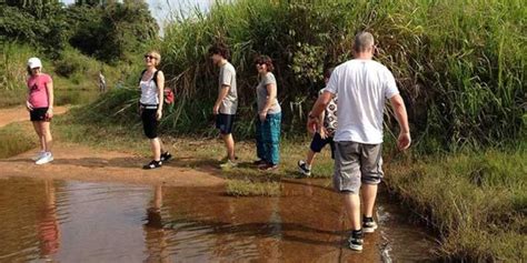 All Inclusive Sigiriya Village Tour With Traditional Lunch Getyourguide