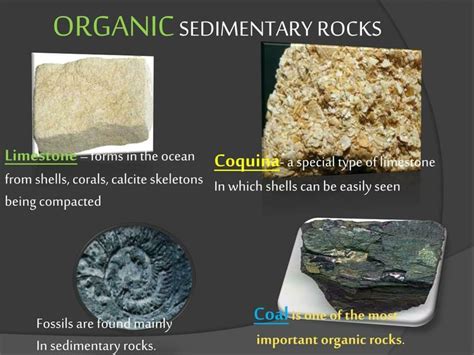 Pin By Antonija Samobor On Geology My Love Food Sedimentary Rocks