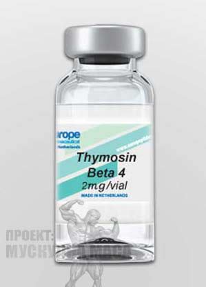 Тимозин (Thymosin Beta 4) - Мускулна маса