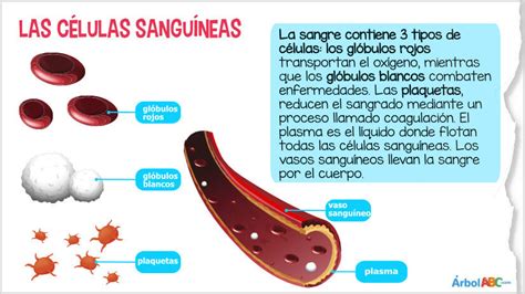 Recorrido Por El Cuerpo Y Juego Con Sus Pies Telegraph