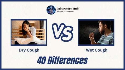 40 Differences Between HSV-1 And HSV-2 - Laboratory Hub