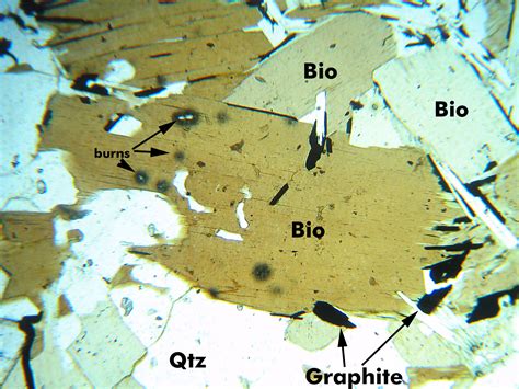 Biotite