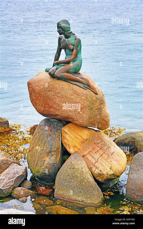 The Little Mermaid statue in Copenhagen, Denmark Stock Photo - Alamy