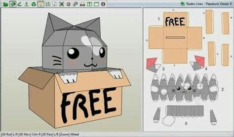 cut  cat   box