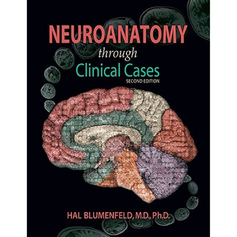 Clinical Neuroanatomy Atlaschinese Edition 8