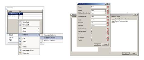 WPF DataGrid Practical Examples wpf datagrid example CSDN博客