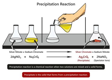 Diagrama Infogr Fico De Reacci N A La Precipitaci N Con Ejemplo De