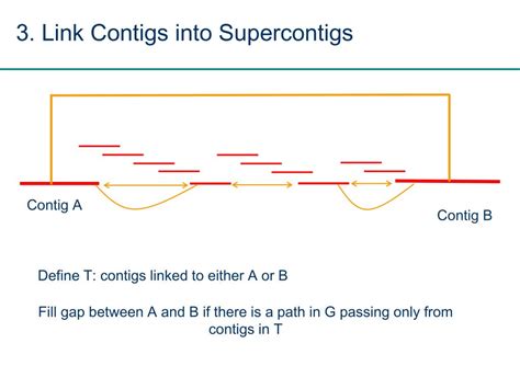 dna sequencing  assembly powerpoint