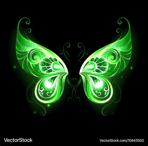 Green fairy wings Royalty Free Vector Image - VectorStock