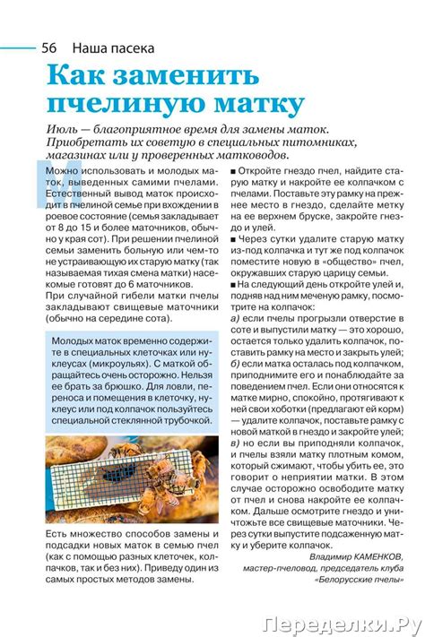 Садовод и огородник № 12 июнь 2020 * Переделки.РуПеределки.Ру