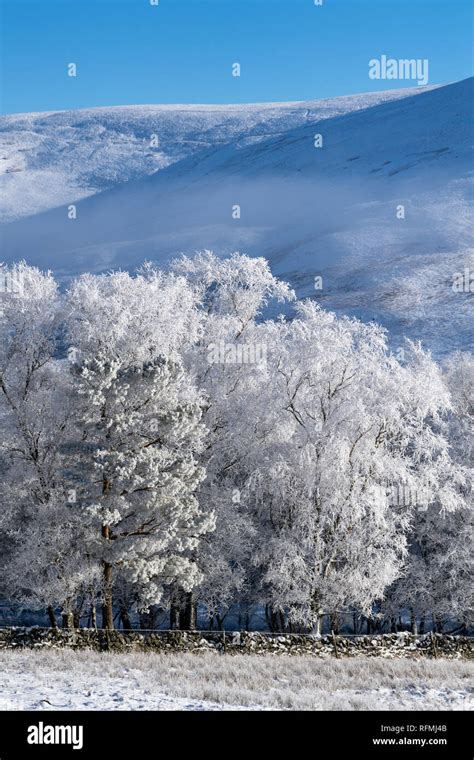 Still Winters Morning Near Abingon In The Upper Clyde Valley Scotland