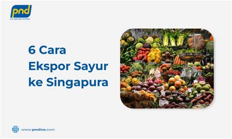 6 Cara Ekspor Sayur ke Singapura