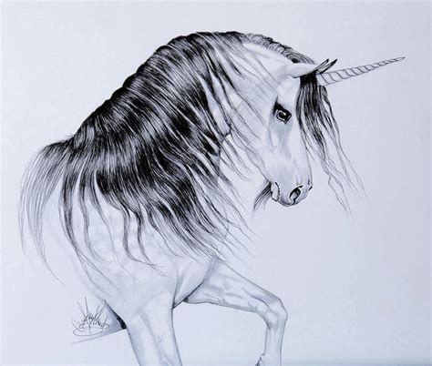 Unicorn Mythology Drawing by Cheryl Poland - Pixels